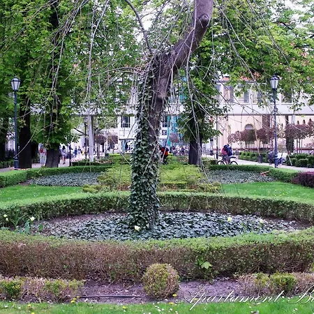 Bugenwilla Sopot